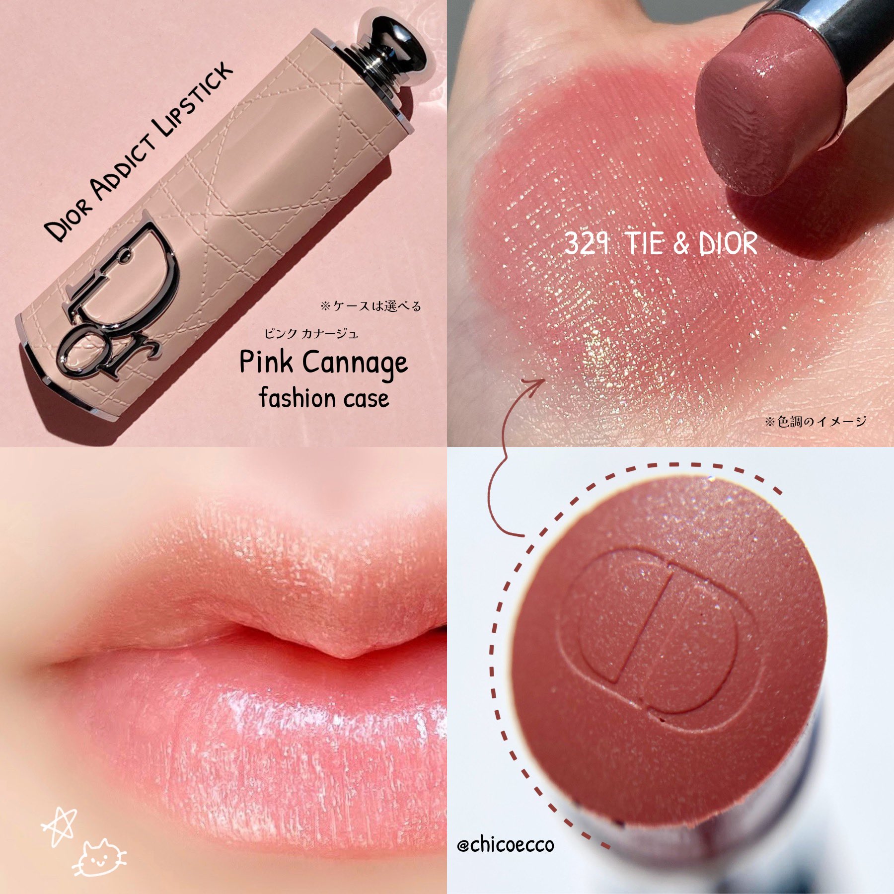 セット送料無料 Dior アディクトリップスティック329限定ケース付き