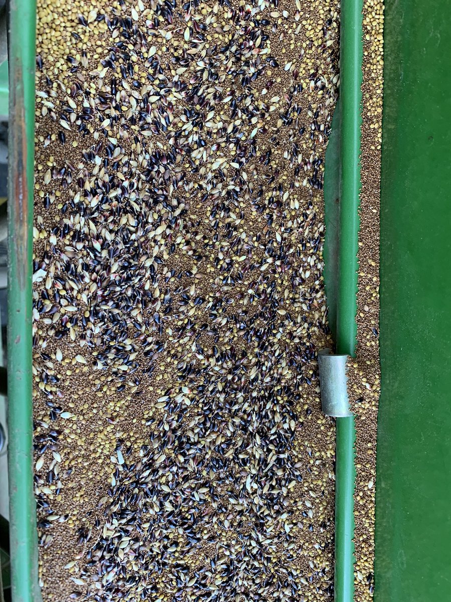 Office headquarters for the day.  Warm season forage annuals being planted. Will be interesting trials with forage sorghum, delayed maturity sorghum, Teff grass, cow peas, sudangrass. #speareseeds