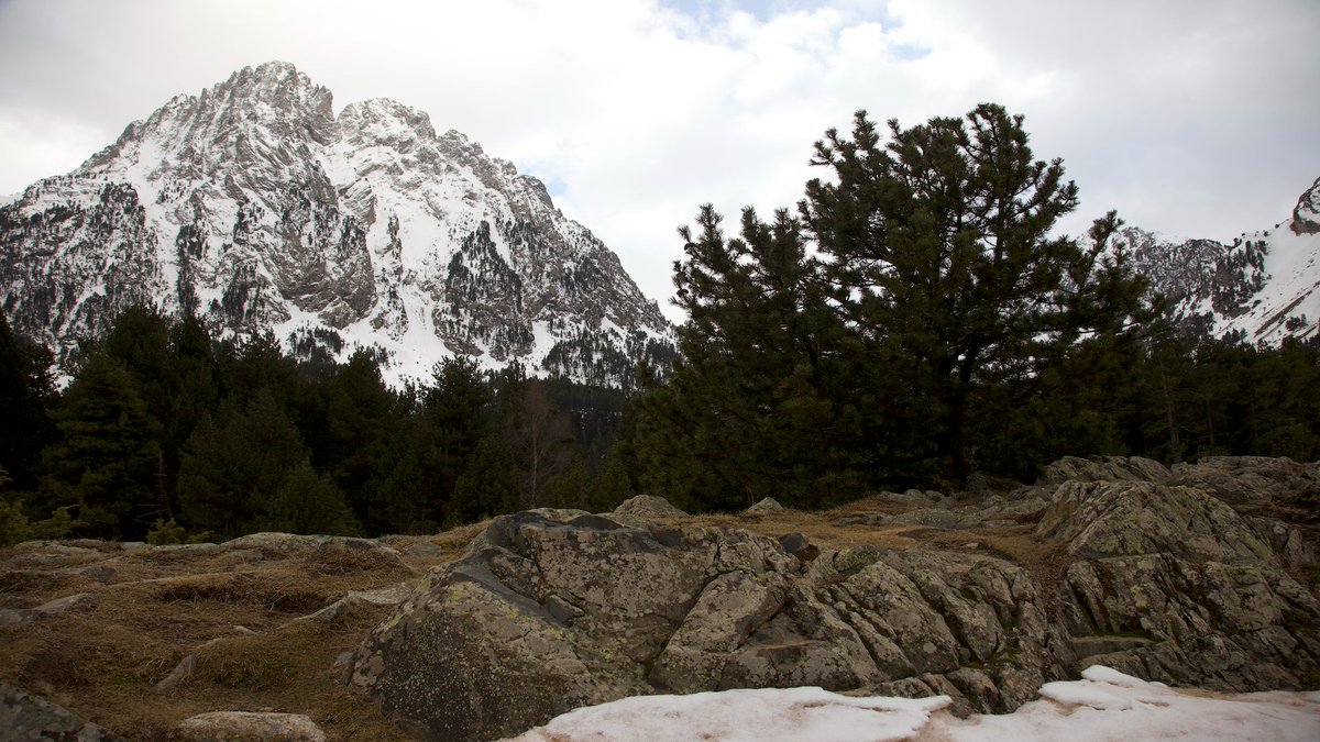 RTVE_Com's tweet photo. El Pirineo encierra un paisaje de alta montaña lleno de huellas de antiguos glaciares y las formaciones de grandes riscos con los emblemáticos “Els Encantats”.
🗻 #DeParqueEnParque, a las 18:30 h en @la2_tve https://t.co/WTmjojsOr1