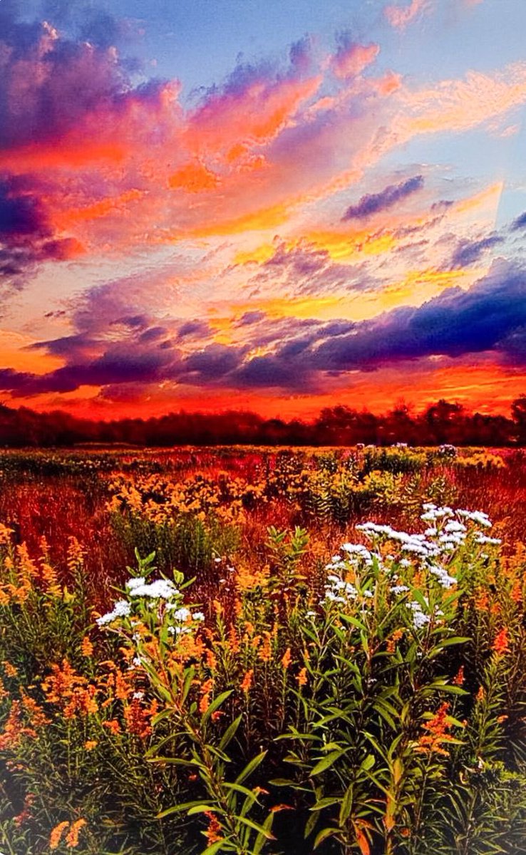 Splendid Friday 🌿🌺
#nature
#NaturePhotography