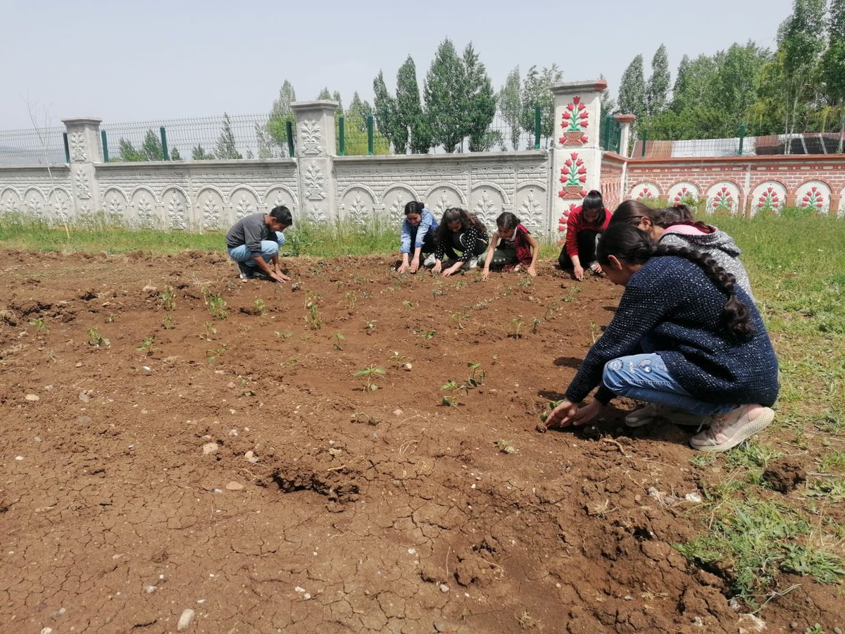 cesimbayramort's tweet photo. Öğrencilerimizin tarım ürünleri tanıma ve aynı zamanda yeteneklerinin gelişmesine yardımcı olabilmek amacıyla grup çalışmaları kapsamında okulumuzun bahçesinde bulunan araziye tarım ürünleri ekildi. @tcmeb @hasan_kokrek @burhankurt04  @erol_isen @gzmgam9542 https://t.co/1fbEtGku6Y