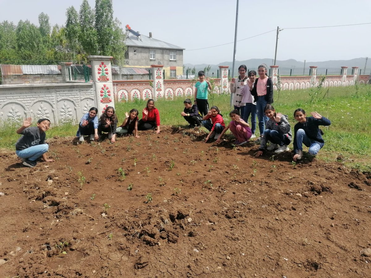 cesimbayramort's tweet photo. Öğrencilerimizin tarım ürünleri tanıma ve aynı zamanda yeteneklerinin gelişmesine yardımcı olabilmek amacıyla grup çalışmaları kapsamında okulumuzun bahçesinde bulunan araziye tarım ürünleri ekildi. @tcmeb @hasan_kokrek @burhankurt04  @erol_isen @gzmgam9542 https://t.co/1fbEtGku6Y