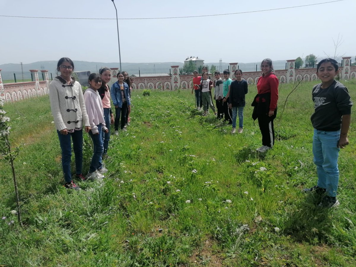 cesimbayramort's tweet photo. Öğrencilerimizin tarım ürünleri tanıma ve aynı zamanda yeteneklerinin gelişmesine yardımcı olabilmek amacıyla grup çalışmaları kapsamında okulumuzun bahçesinde bulunan araziye tarım ürünleri ekildi. @tcmeb @hasan_kokrek @burhankurt04  @erol_isen @gzmgam9542 https://t.co/1fbEtGku6Y