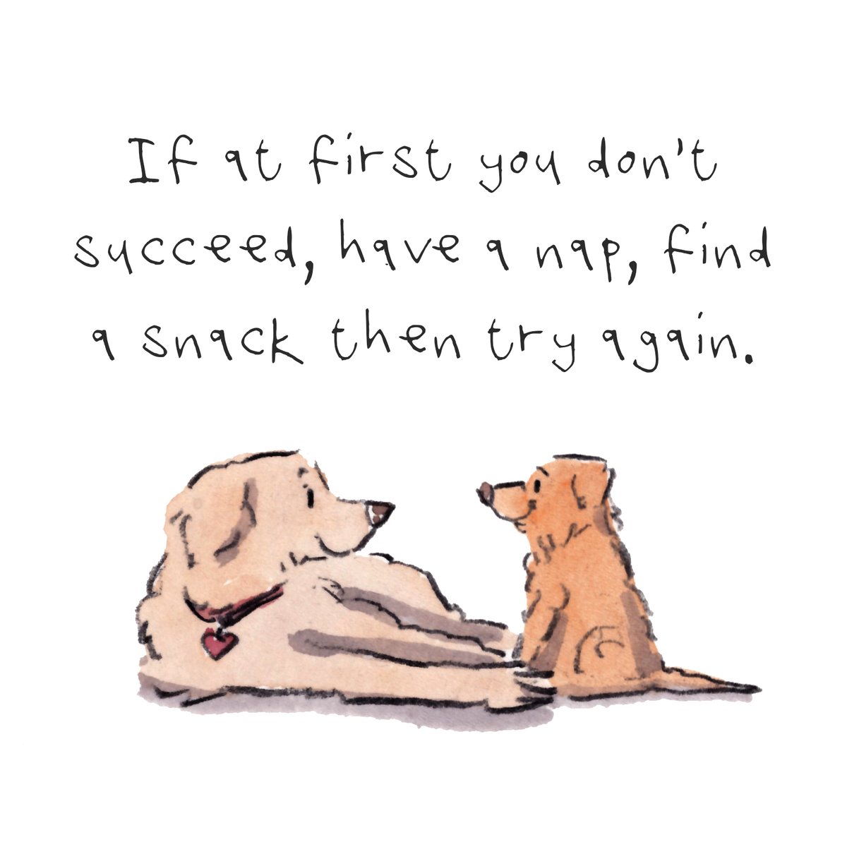 iaindwelch's tweet photo. Hello, lovely people and lovely dogs. 
I've got a new pdf e-book available to buy with many unseen-before images. It is called "From One Dog to Another" and is about doggy wisdom.
If I can tempt you, here is the link https://t.co/WlRHsBiPaH
#hoorayfordogs #labrador #naps #snacks https://t.co/iBCOECnkVo