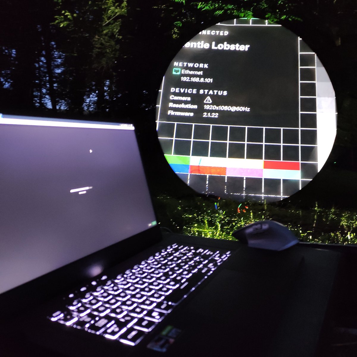 hyperoculus's tweet photo. Into the Forrest we go... https://t.co/3S0RfB1BmJ