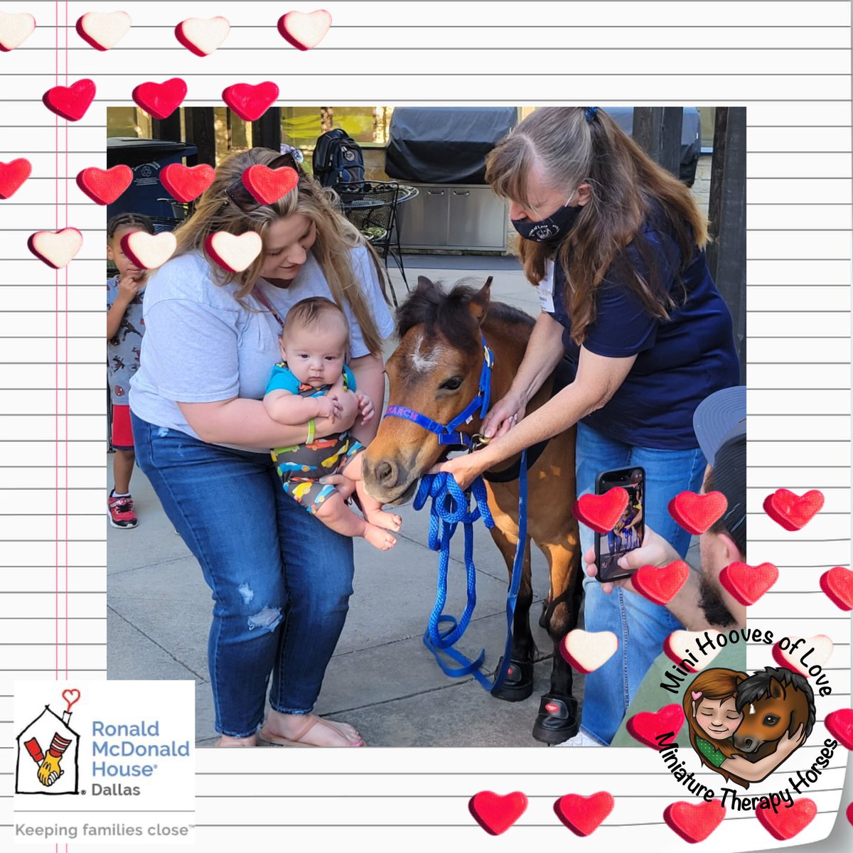 MHOLminis's tweet photo. Great to be in the house at @RMHDallas this time with Monarch who loves babies. He also did a lot of ‘Walk With Me’, @pet_partners, where he walks w/a child along w/the handler. More pic posts of that to come.
#therapyhorses #monarch #smilesbringhope #makesomeonesmile #rmhd #mhol https://t.co/0ZnlUwChgb