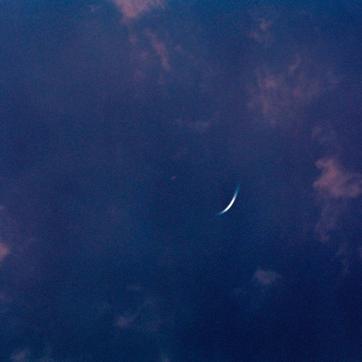 DocPhotUSW's tweet image. Our photobook is available on preorder- 26 remarkable projects including this complex project about science, space and connections with nature by @martawawrzycka . Buy it here packedlunch.info along with other fun stuff . Also showing @packed_lunch_exhibition 10-17th June