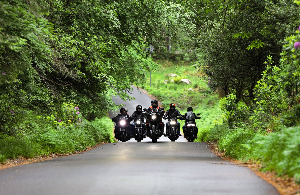 Scenic trips and an all you can ride buffet of #Harley demos...#irelandbikefest! Its motorcycles, music &amp; mountains this holiday w/end! #LoveKillarney #KeepDiscovering <a href="/Failte_Ireland/">Fáilte Ireland</a> <a href="/wildatlanticway/">Wild Atlantic Way</a> <a href="/harleydavidson/">Harley-Davidson</a> <a href="/DiscoverIreland/">Discover Ireland</a> <a href="/countykerry/">Kerry County Council - Comhairle Contae Chiarraí</a> <a href="/KerryCoArts/">Kerry County Arts</a> <a href="/valphoto/">Valerie O'Sullivan</a> #LocalLive