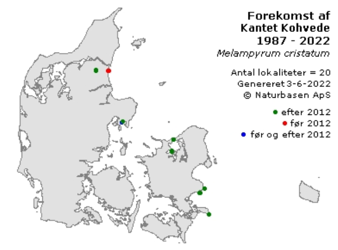 Morten DD tweet media