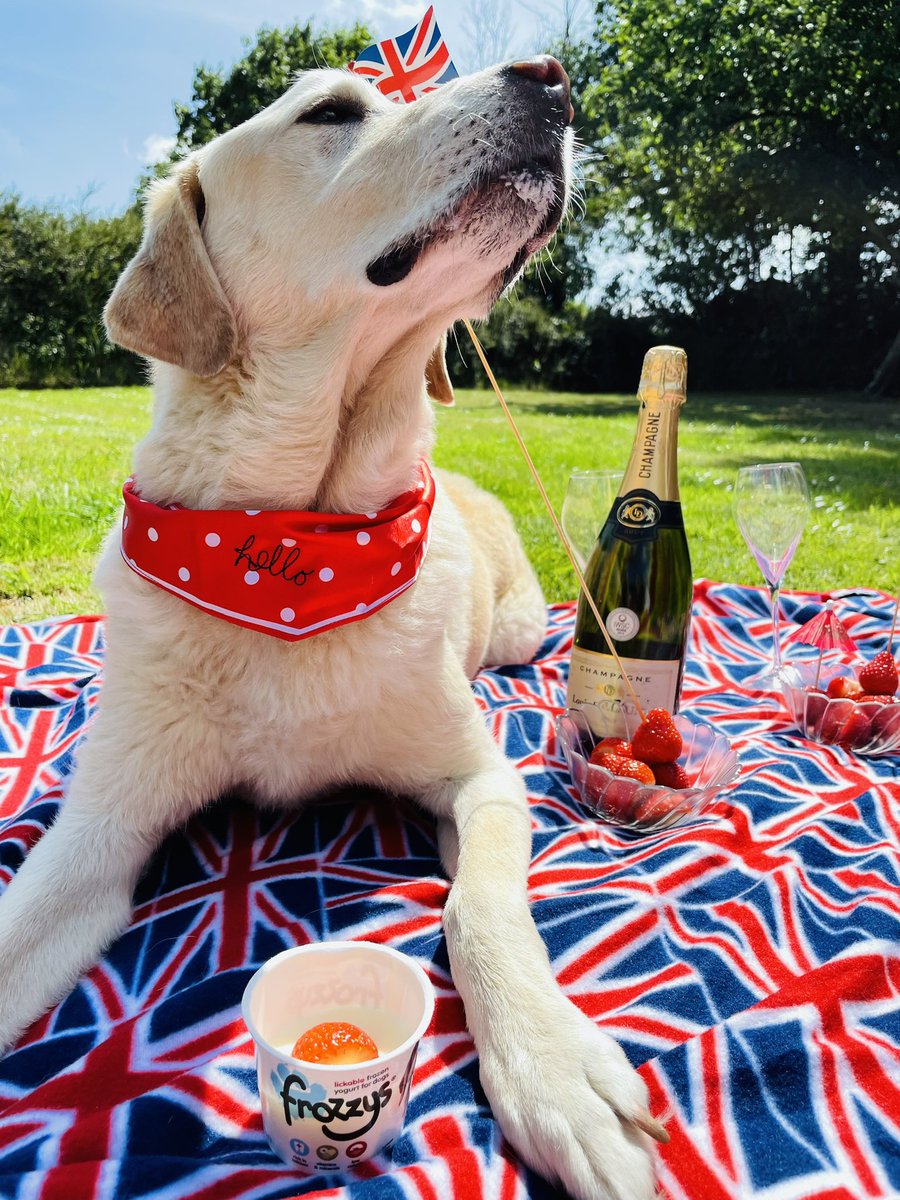 Beau and Dotty had an amazing time celebrating the Platinum Jubilee with champagne, strawberries and doggy ice cream! <a href="/eefnews/">Everything Epping Forest</a> <a href="/EppingFGuardian/">Epping Forest Guardian</a> 🇬🇧