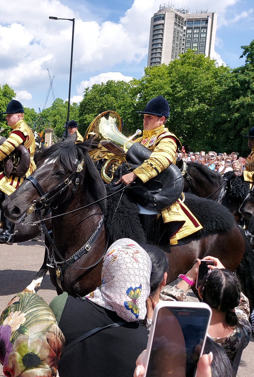 Seeing the Mounted Band of the Household Cavalry yesterday reminded me of those times my mum used to make me cycle to school with my cello!