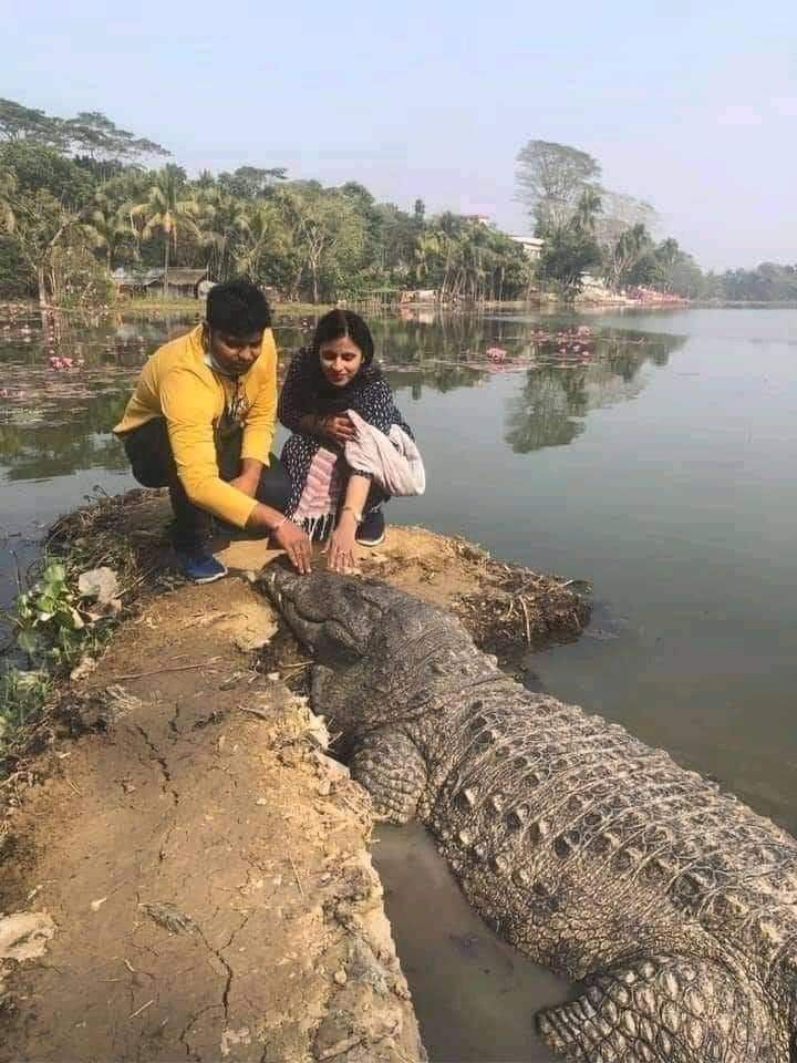 ShineHamesha's tweet image. What is stopping you from doing this?