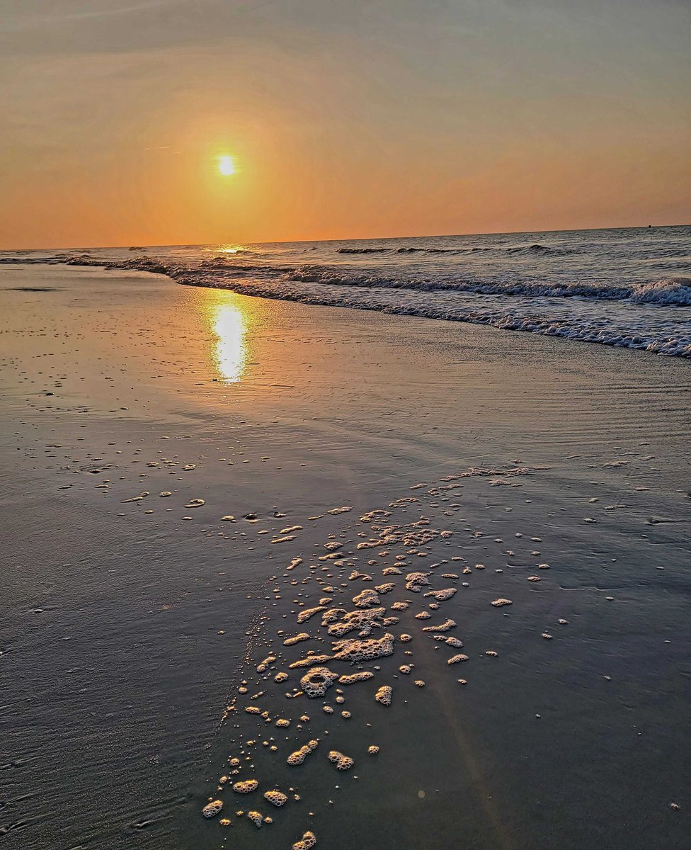 F3GrandStrand tweet media