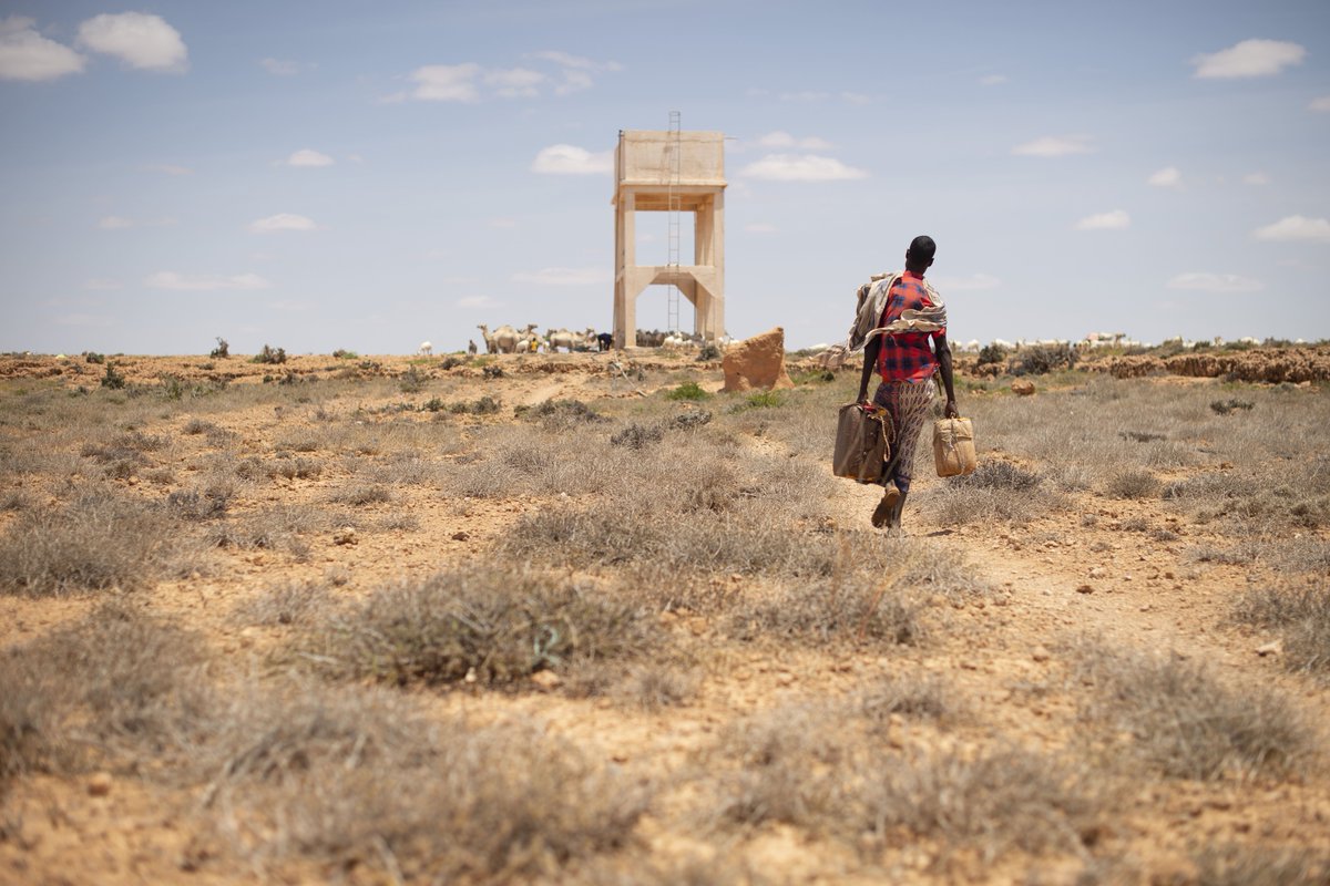 #Climatechange has impacted how, when, and where people migrate.

We need #ClimateAction to avert displacement of the most vulnerable populations.