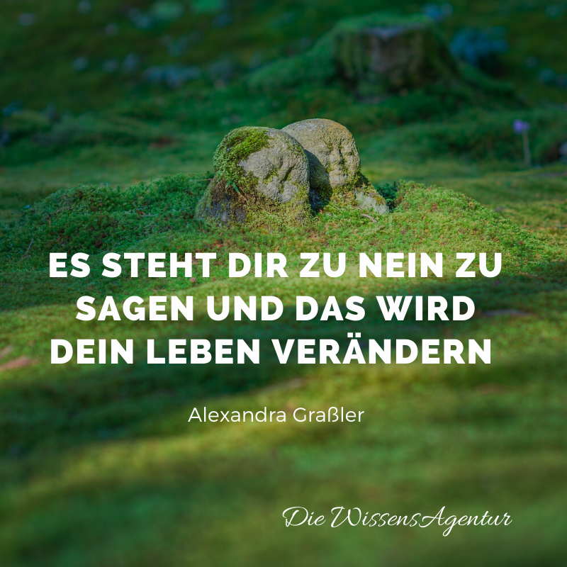 Alexandra Graßler tweet media