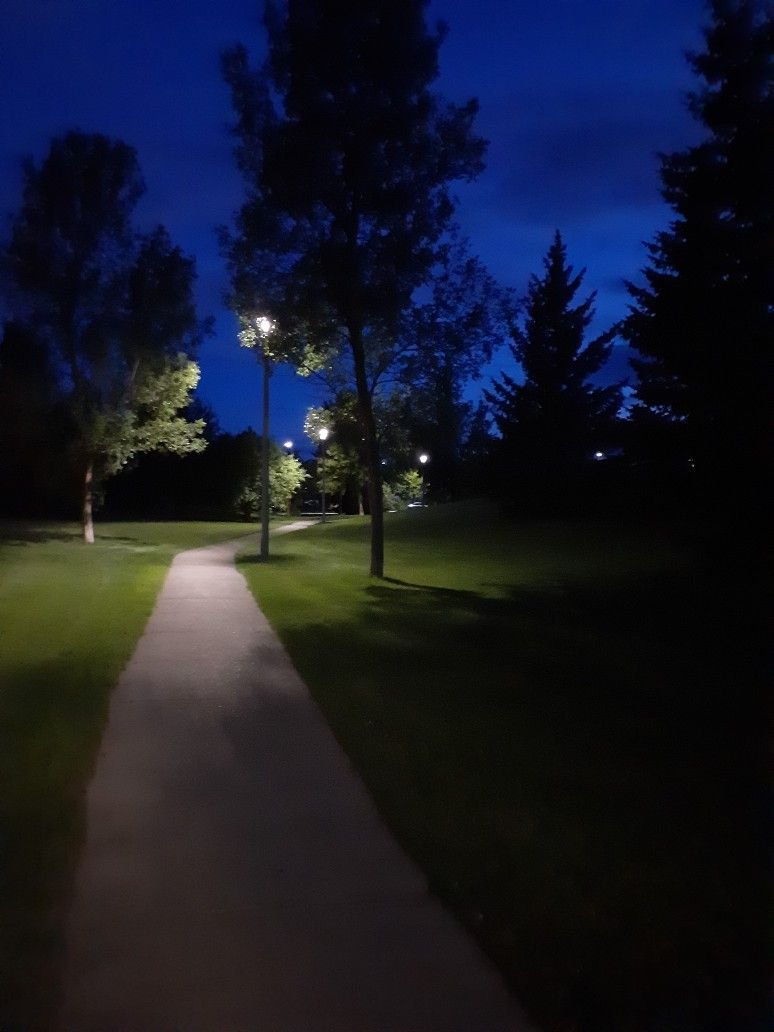 nobody can bring you peace but yourself.