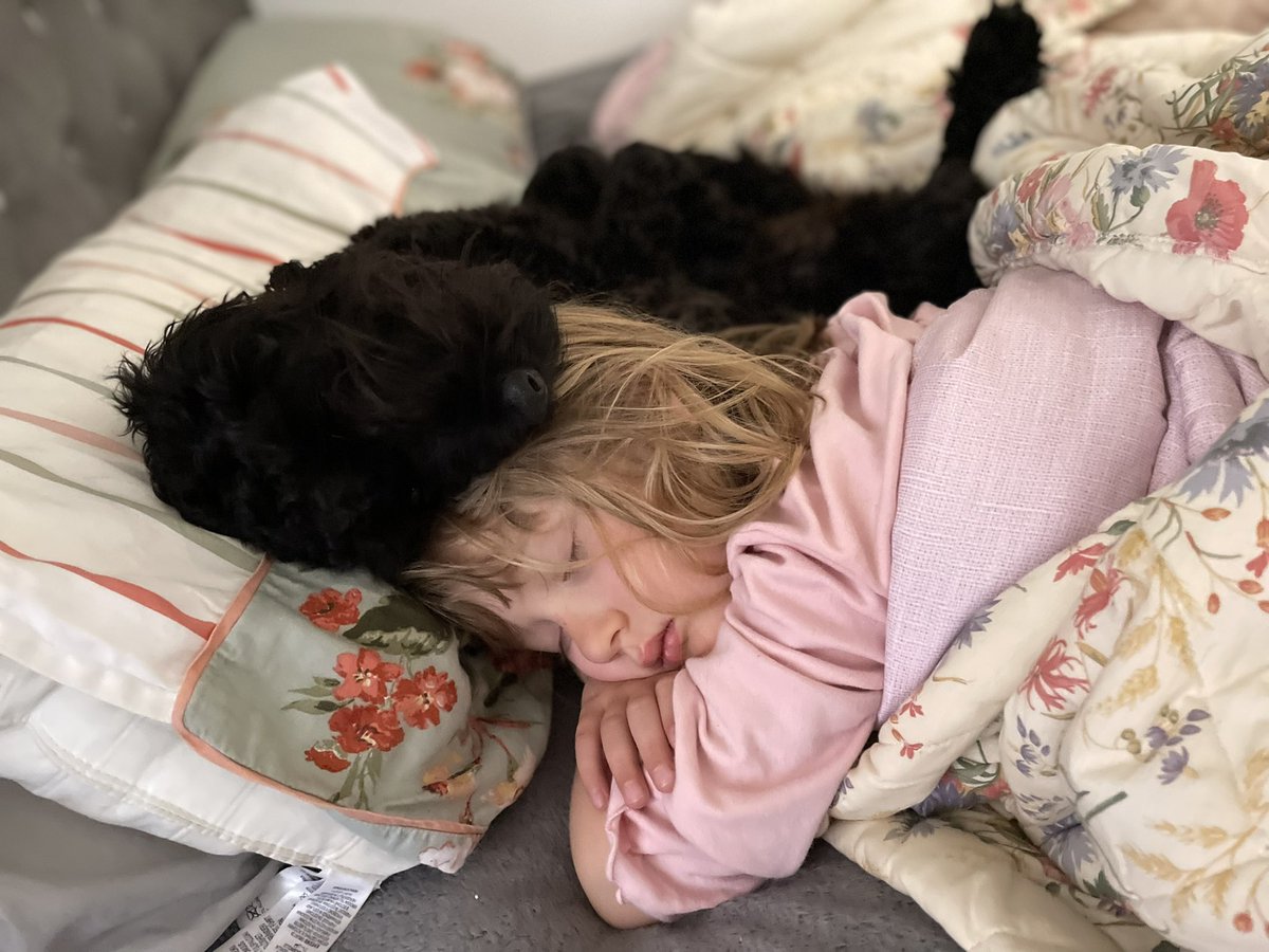 InSybill's tweet photo. @WilsontheKCS Your littlest human is cute. Mine is too https://t.co/uVAqxohJom