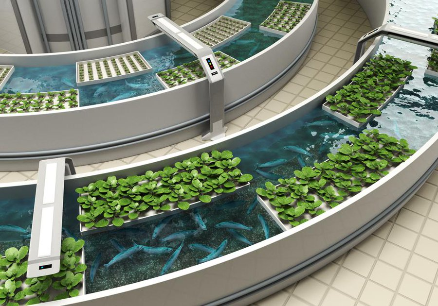 Modern Agriculture Updates tweet media