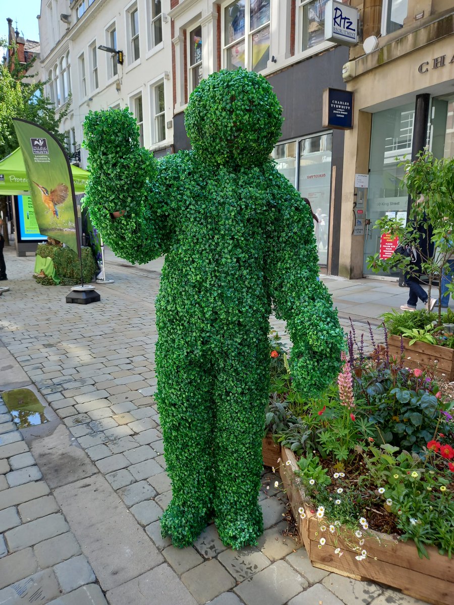 SuzanneGWK's tweet photo. Having a lovely day at Manchester Flower Festival.  Come and see our garden on King Street. #MCRFLOWERSHOW @GroundworkGM https://t.co/QAAGyL0bYC