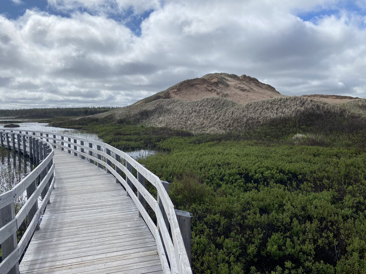 Just another day in the dunes with good mates <a href="/UCSBgeog/">UCSB Geography</a>
