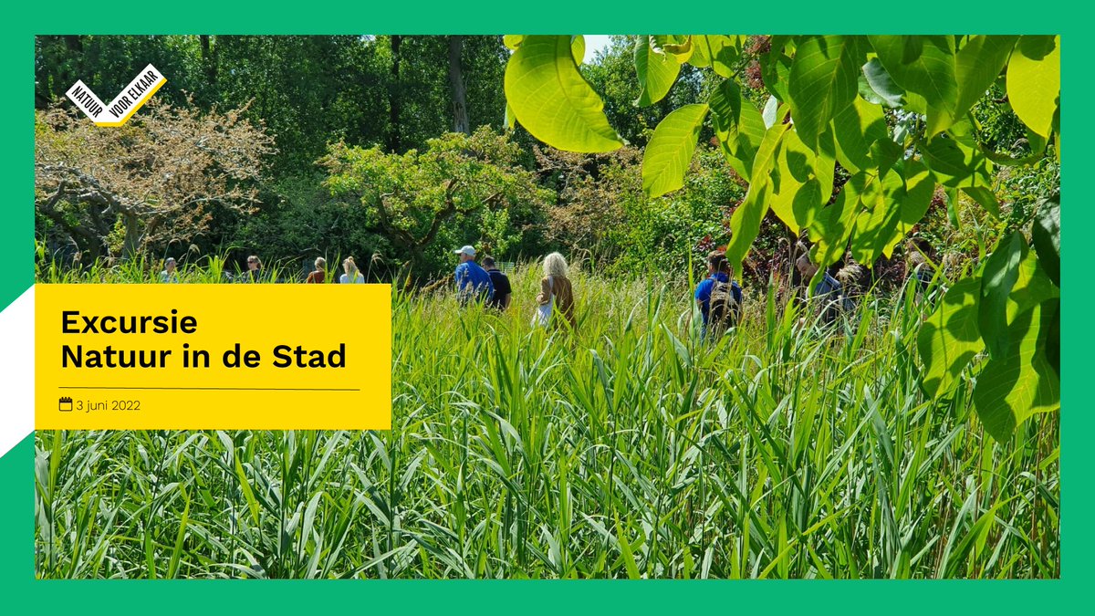 Het Oversticht tweet media