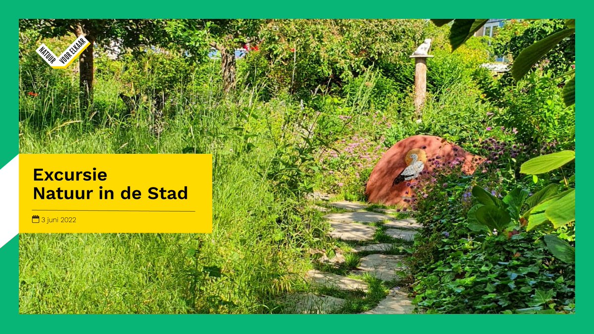 𝗘𝘅𝗰𝘂𝗿𝘀𝗶𝗲 // 𝗡𝗮𝘁𝘂𝘂𝗿 𝗶𝗻 𝗱𝗲 𝗦𝘁𝗮𝗱
Vandaag zijn we op natuurinclusieve ‘excursie’ en brengen we een bezoek aan twee prachtige voorbeelden van natuurinclusieve woonwijken; EVA Lanxmeer in Culemborg en Kerckebosch in Zeist.