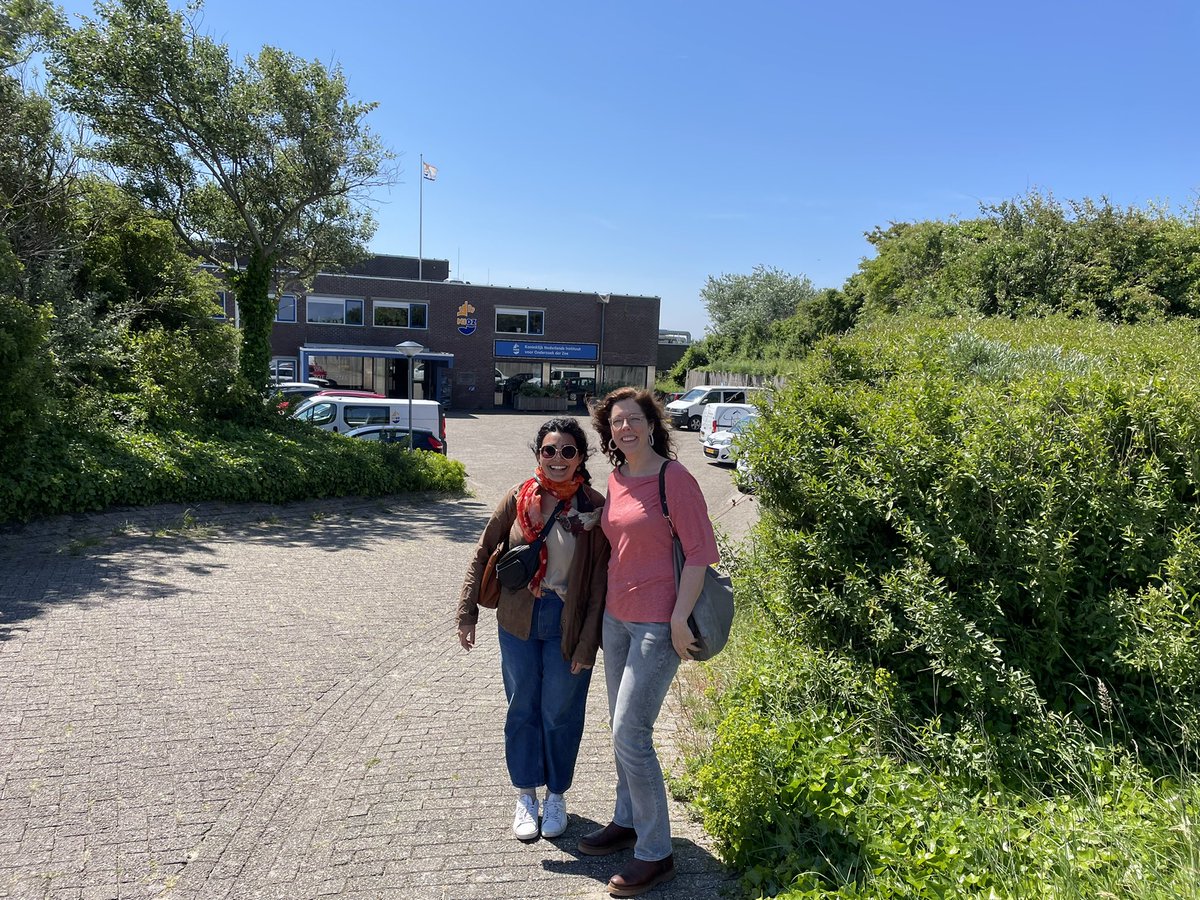 FluidKnowledge tweet media