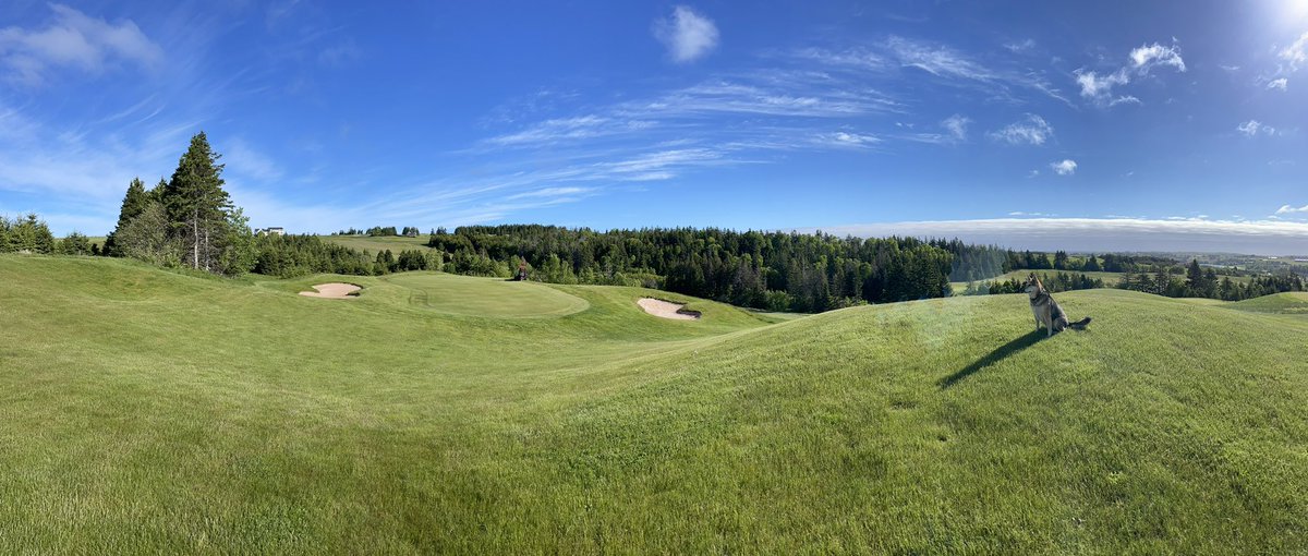 Glasgow Hills Turf tweet media