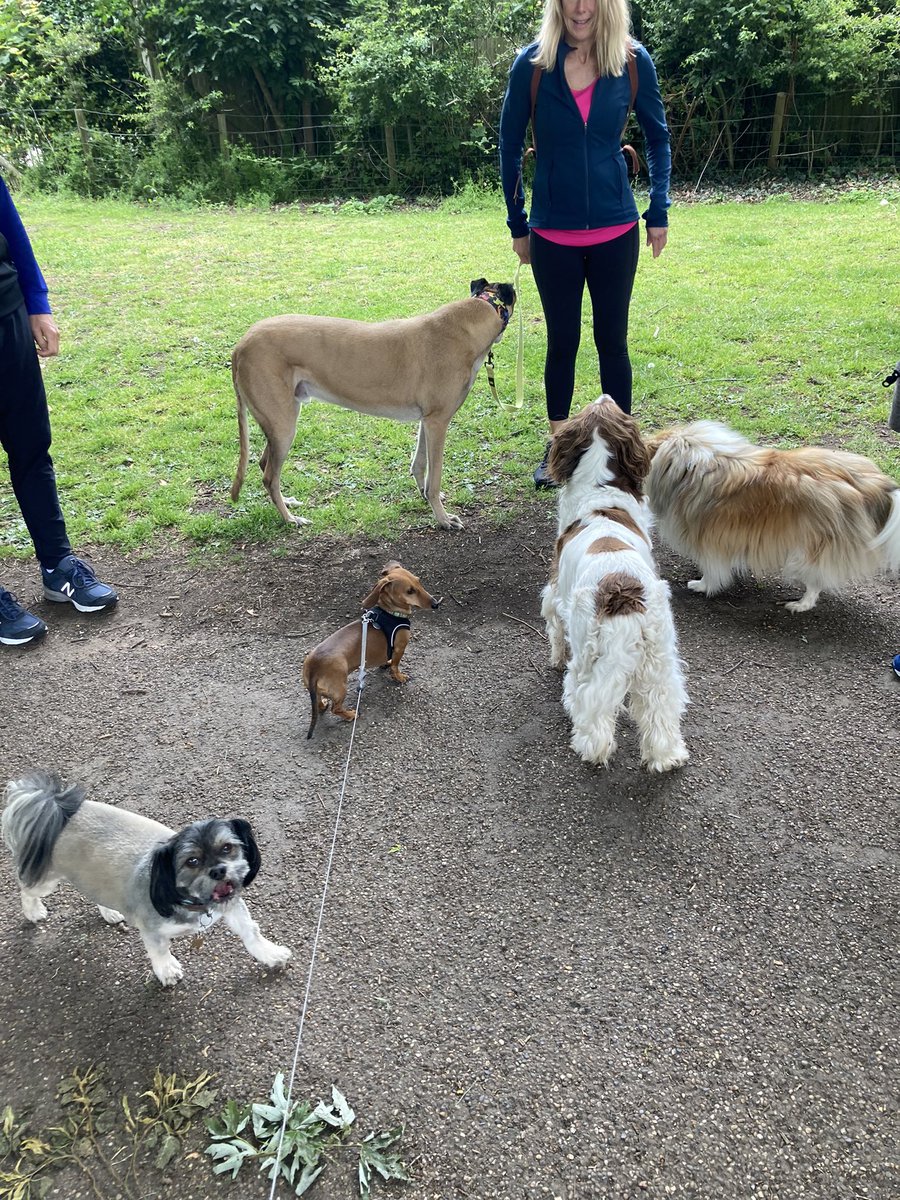 Sebastian tweet media