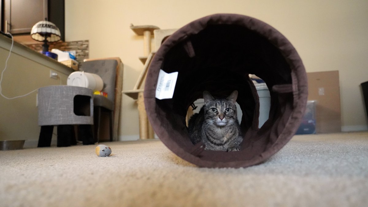 J.D. Williams tweet media