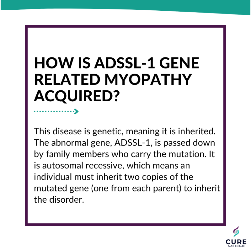 CureRareDisease's tweet photo. How is ADSSL1-gene related myopathy acquired? This disease is genetic, meaning it is inherited. The abnormal gene, ADSSL-1, is passed down by family members who carry the mutation. #adssl1 #raredisease #genetics #genetherapy https://t.co/tVgppaM7JY