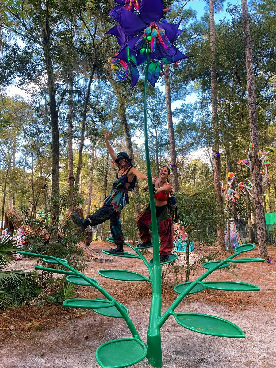 ꒯ꏂꇙ ⚘ tweet media