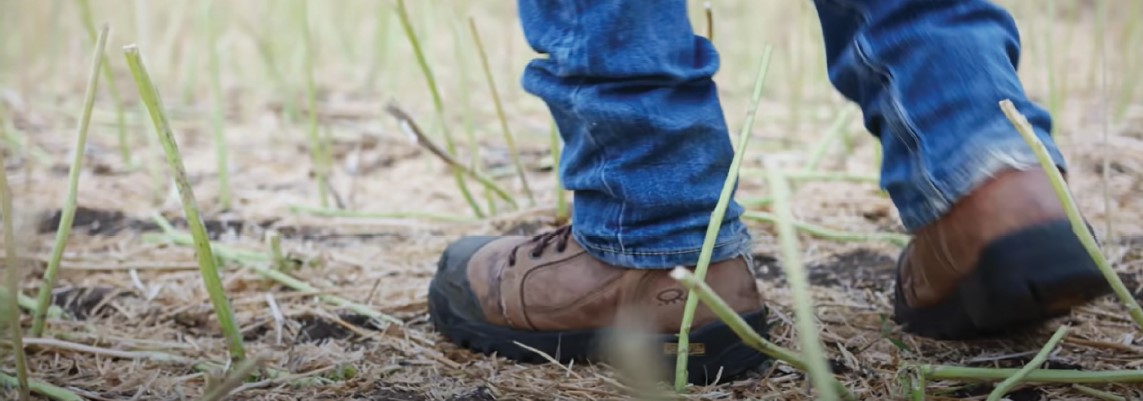 Ag-West Bio tweet media