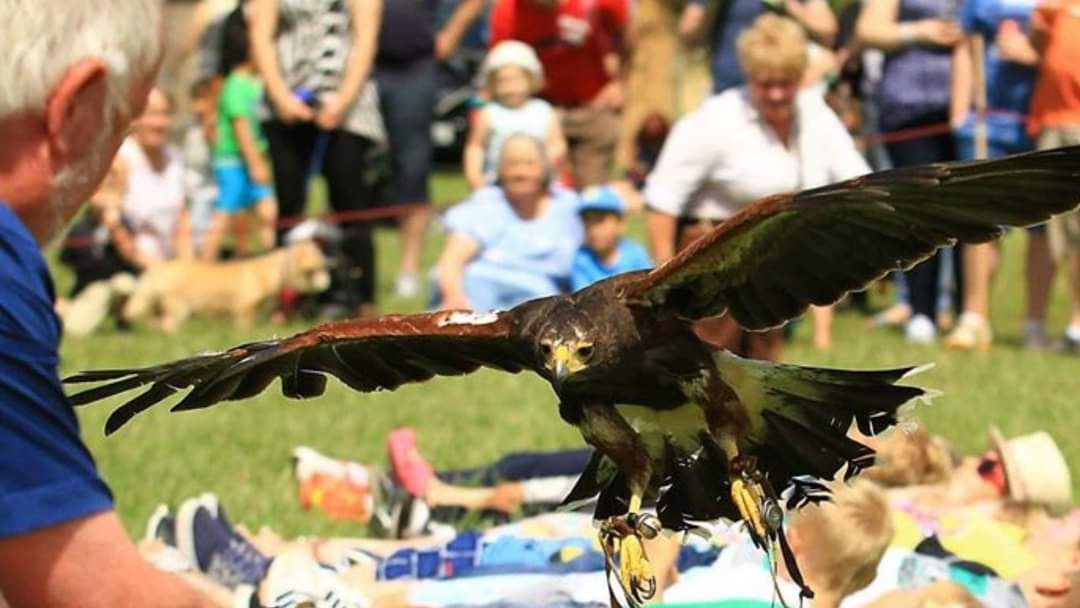 Llandaff North Festivals tweet media