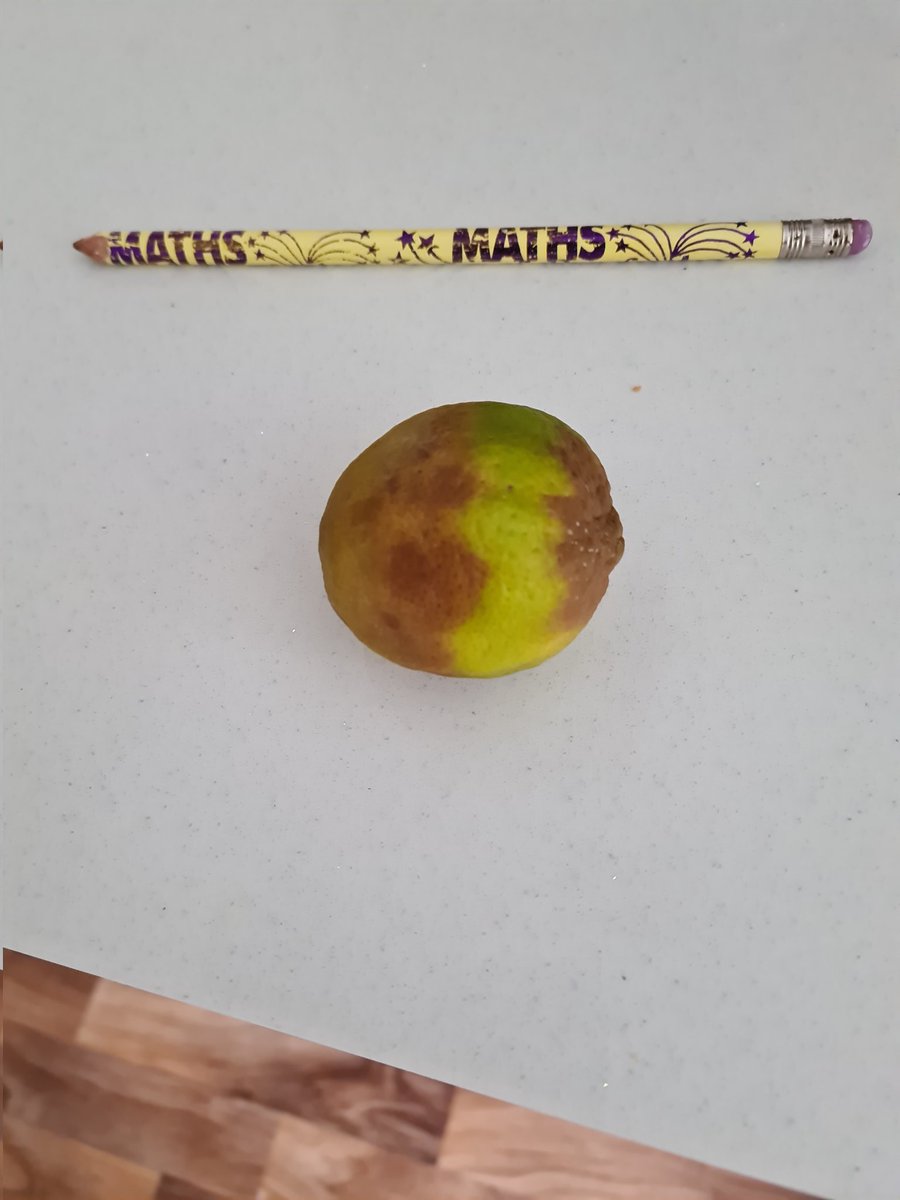juliehordon's tweet photo. @HelloFreshUK I fail to see how this can be a quality ingredient. This is a lime. They started off great its getting worse, any more and I cancel. https://t.co/QCcfAYNWm6