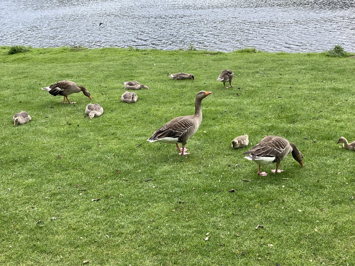 Angela Schofield tweet media