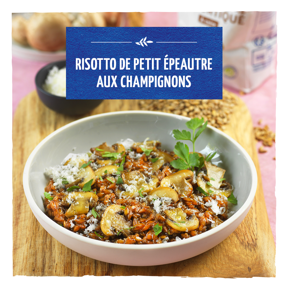 Biocoop Le Relais Bio - Brignoles tweet media