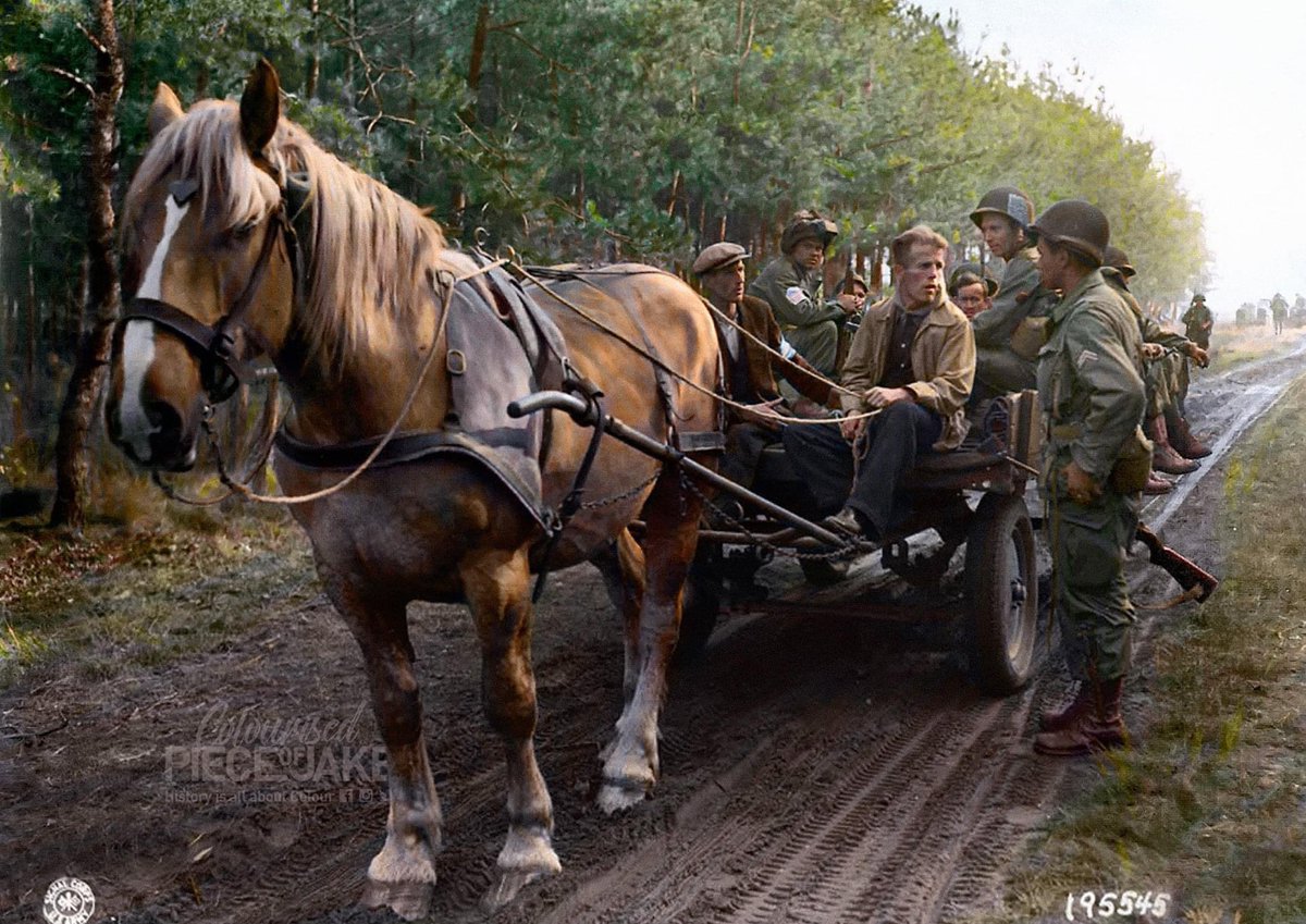 PieceJake's tweet photo. Cpl. Jaap Bothe with Dutch farmers from Son after a German mortar attack. During Operation #MarketGarden
#Bothe, landed with the 327th (#AirAssault) #GliderBorne Regt , #101stAirborneDivision .
He fought with No.2 #DutchTroop during the #SlagomdeSchelde 

Photo: #WalterCronkite https://t.co/jgNUc4EbN6