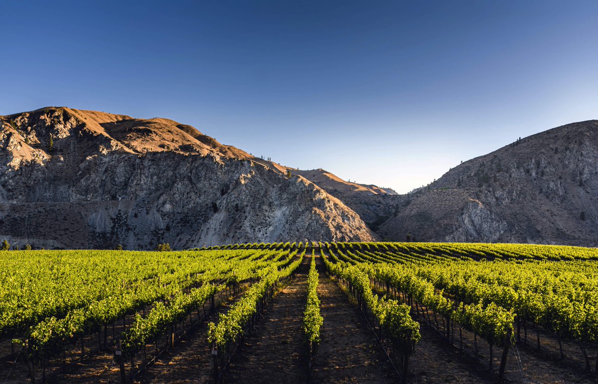 More news in the world of Washington wine today, with the TTB approving Rocky Reach. The appellation is Washington’s 20th. On the blog, an in depth look at the growing region. Image by Richard Duval.  bit.ly/3tePc5r #WAwine #wine