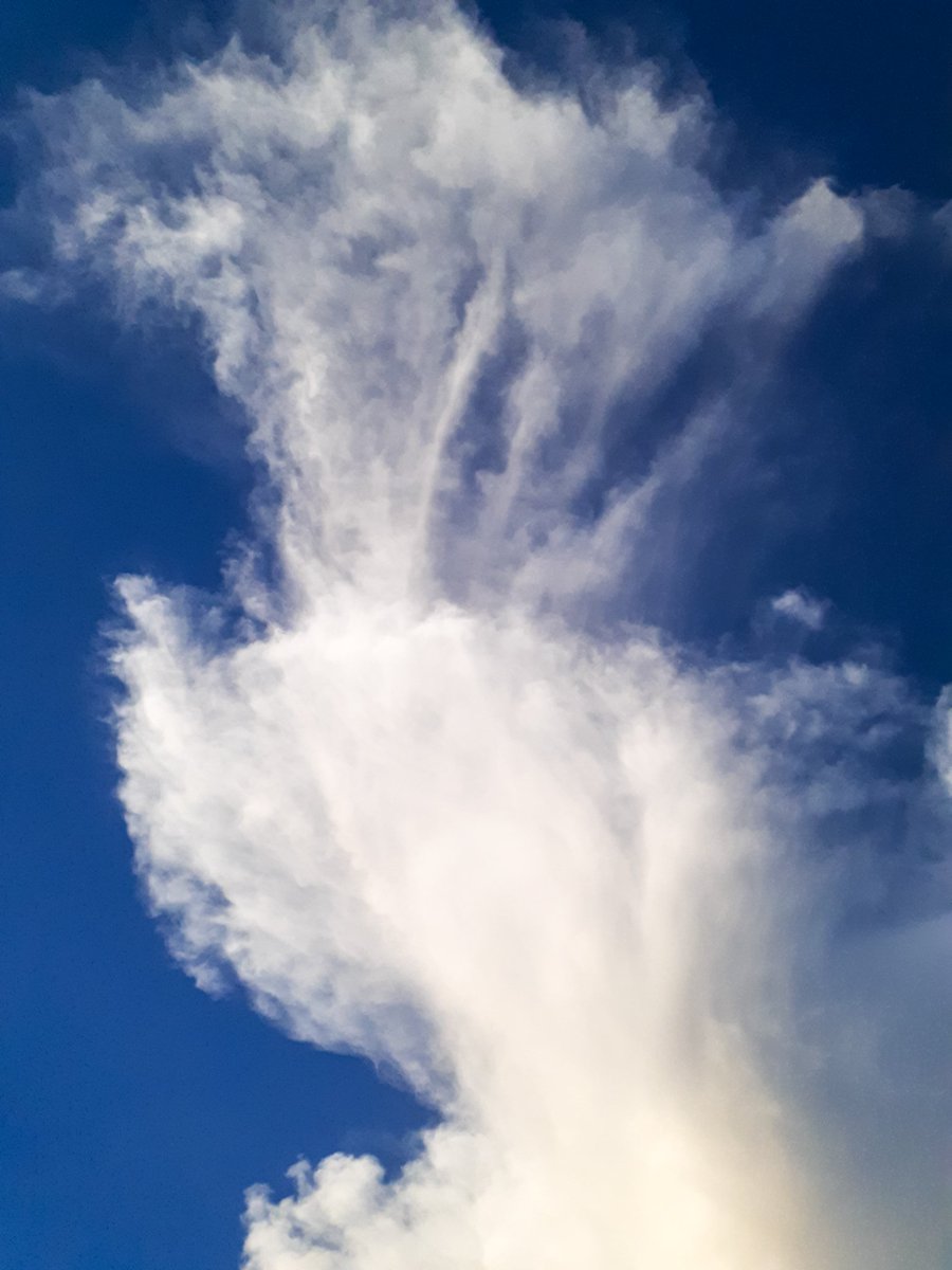 MarkySantos1993's tweet photo. Another opportunity to just focus on one type of cloud.
#cloud
#clouchaser
#cloudscape
#cloudphotography
#mobilephotography
#ThePhotoHour
#StormHour https://t.co/hTuPDVhnxF