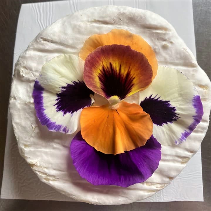 WA Cheesemakers Fest tweet media
