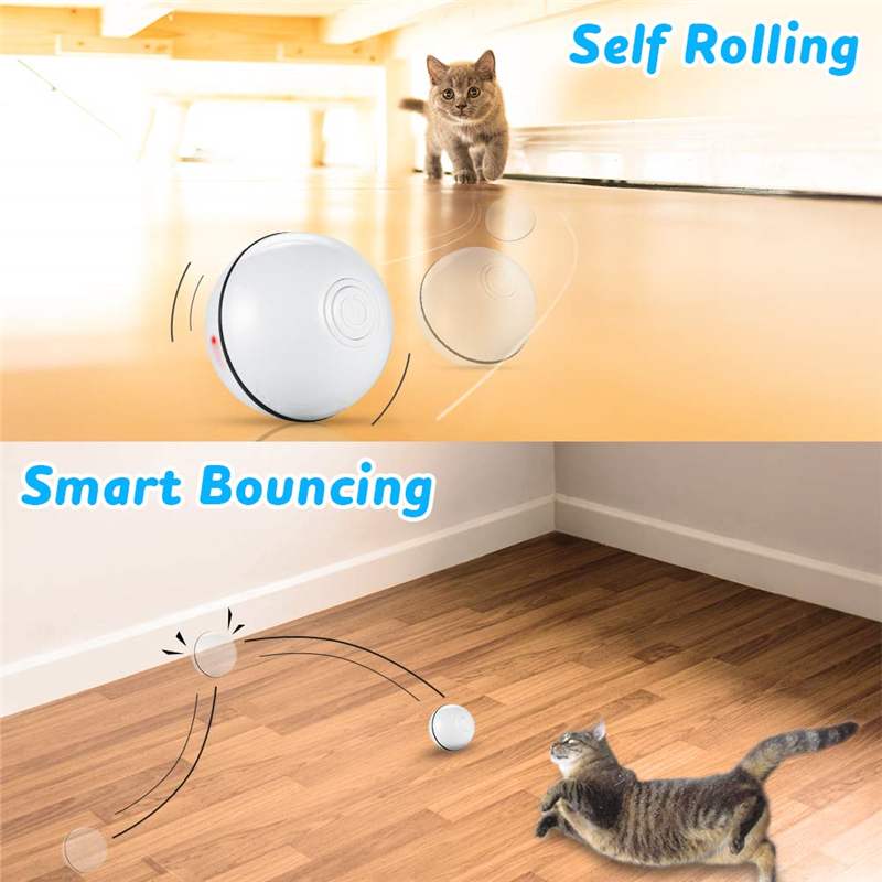 barkandmeowzz's tweet photo. Smart Interactive Pet Ball
This Smart Interactive Pet Ball helps alleviate the boredom and anxiety of your pets. ๐ถ๐ฑ Shop
Now:โก๏ธhttps://t.co/mNbJkI8NUW
#pets #cats #animallovers #catsathome #barkandmeowzz https://t.co/xked96skyj