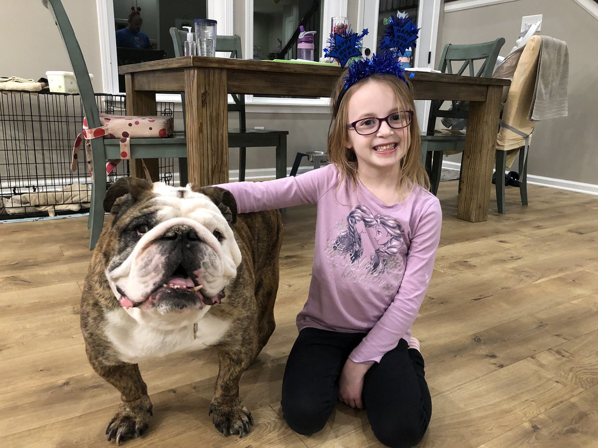 Dearest friends, it is with a heavy heart that we announce that Giggsy has gone over the rainbow bridge. He struggled over the last year after his stroke yet we are still devastated. Hug your bullies a little tighter today. 💕