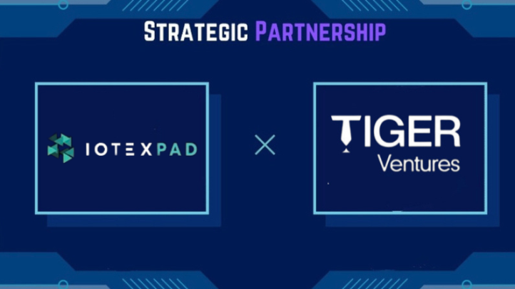 🎉We are proud to announce our partnership with IoTeX Pad

<a href="/iotexPad/">IoTeXPad</a>  the first native launchpad to be deployed on IoTeX, focused on launching and incubating leading emerging and trusted projects.

#tigerpower