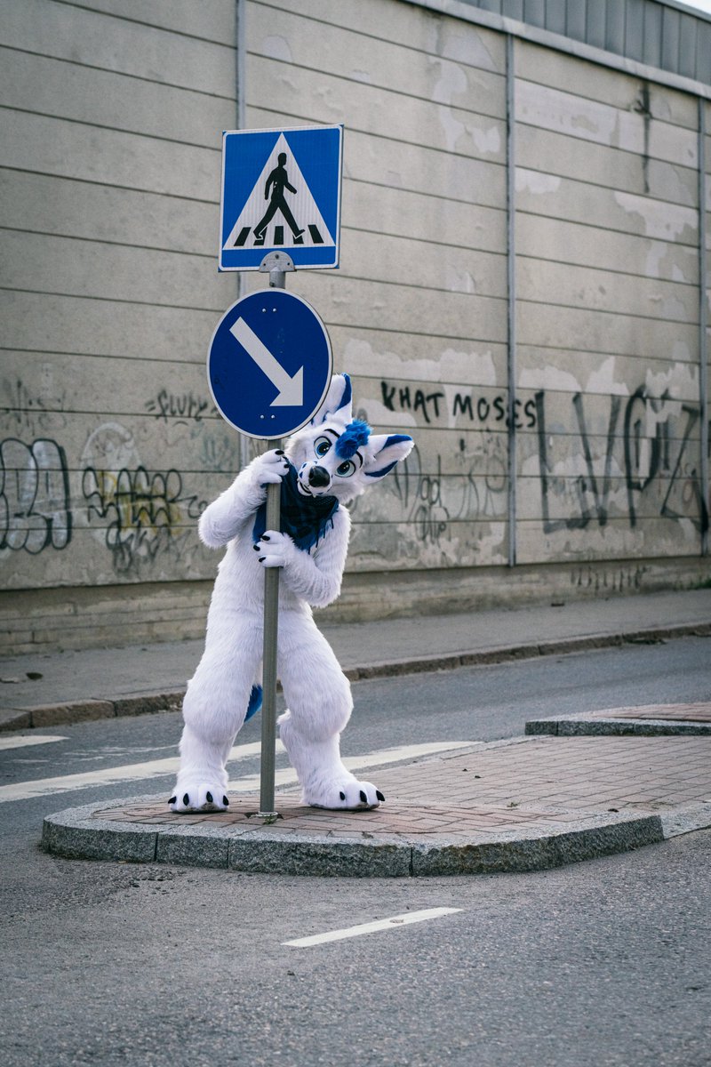 The contrast of fluffy &amp; rugged, soft &amp; hard.
Just urban fox things! #FursuitFriday 
📸 <a href="/SyndraFox/">Syndra</a>