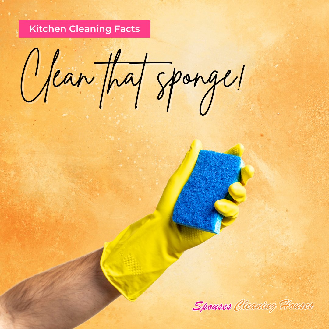 Regularly clean your sponge in hot water and dish soap to keep those bacteria at bay!
spousescleaninghouses.com
#annapolis #maryland #downtownannapolis #dta #annapolismd #mdliving #sponge #spongecleaning #spongecleaningtips #hacks #housecleaningannapolis #spousescleaninghouses