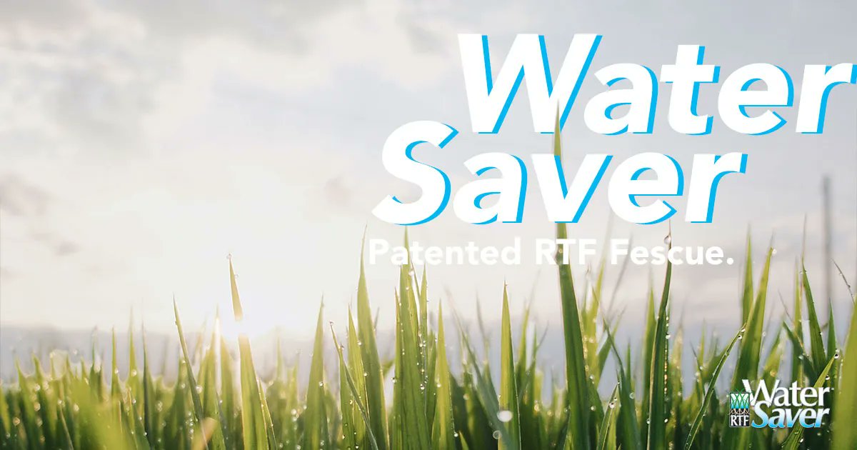 Barenbrug USA tweet media