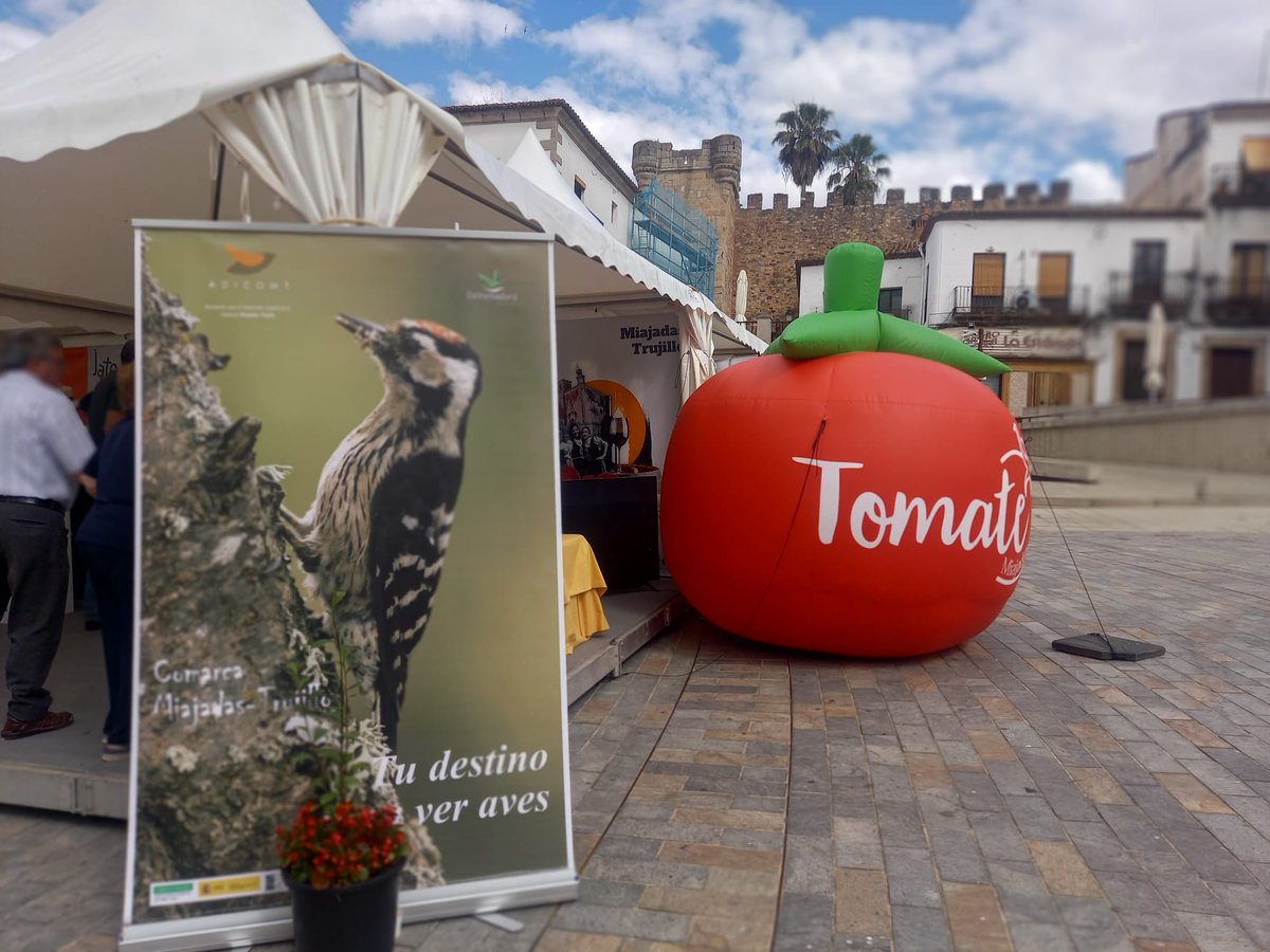 AcomicM's tweet photo. La presidenta y vicepresidenta de #Acomic en #Jato encuentro de oportunidades en el Medio Rural, compartiendo espacio con el @MiajadasAyto, @Adicomt  y nuestro producto estrella de #Miajadas, el #tomate.

@DiputacionCC https://t.co/QwdaFZBraz