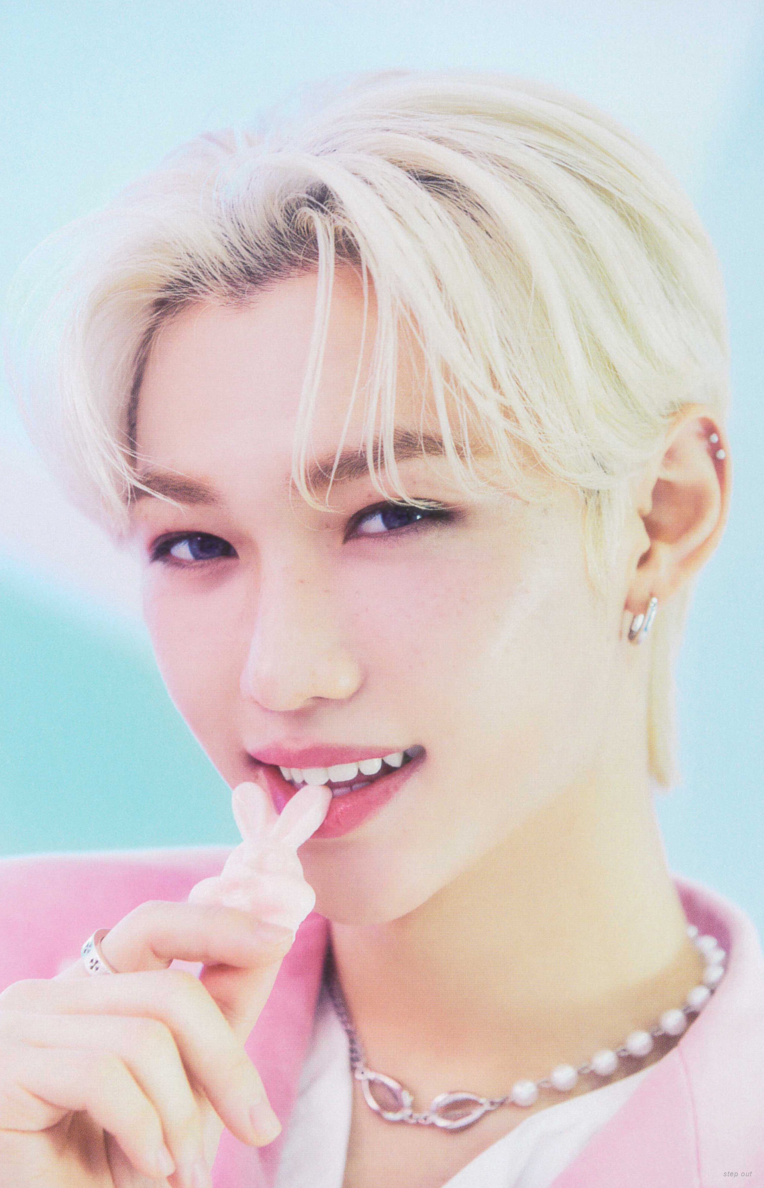 スキズ フィリックスぬいぐるみ Felix 필릭스 Straykids Felix フィリックス 20cm ぬいぐるみ doll - メルカリ