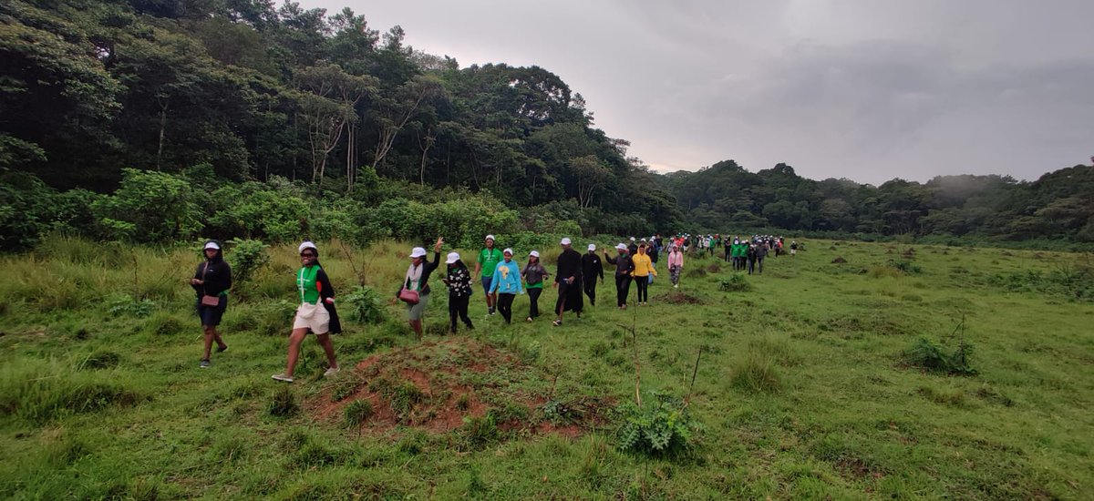 NerryIsh's tweet photo. The clearest way into the Universe is through a forest wilderness. Nature soothes us. Nature heals us, and something more, the woods are a place of power. Kakamega forest @kenya_action @gitdubai #TrillionTrees  #OnlyOneEarth #FutureInAMillionTrees  #SaveSoil #WorldEnvironmentDay https://t.co/Pv1vMVSQEK